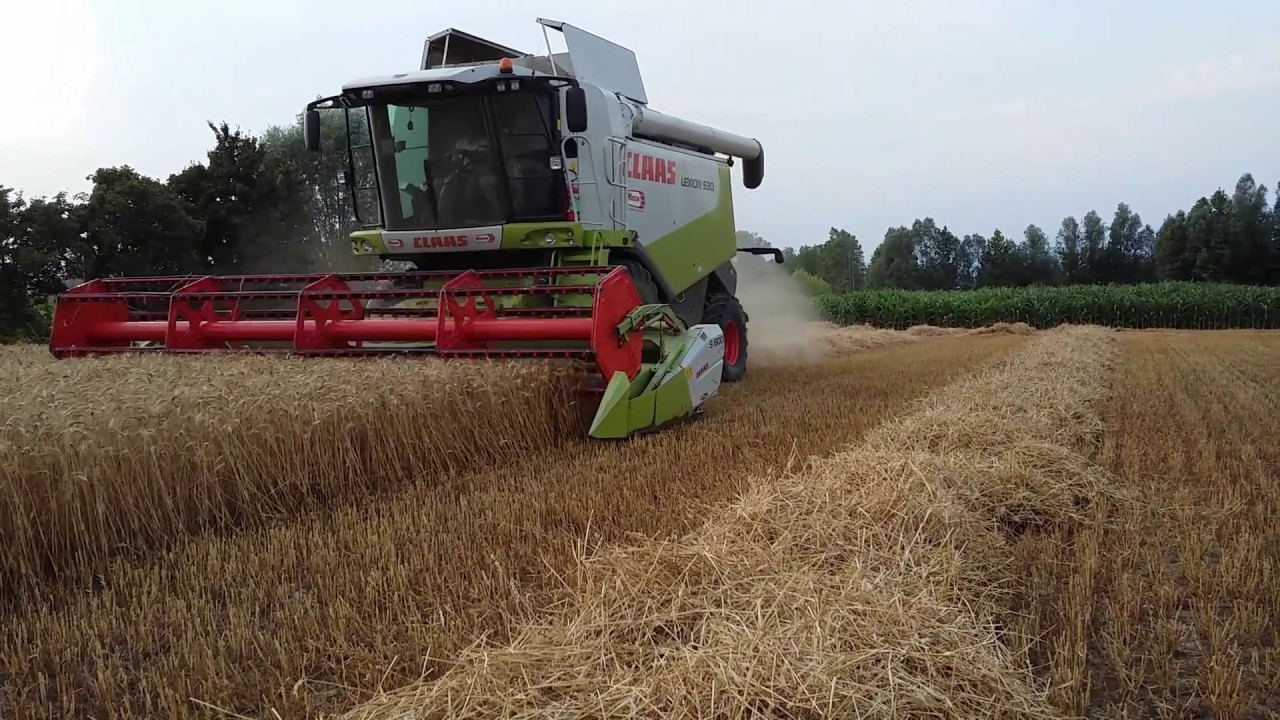 CLAAS LEXION 530 | FENDT 714 | TREBBIATURA FRUMENTO 2017 | GRAIN HARVEST 2017