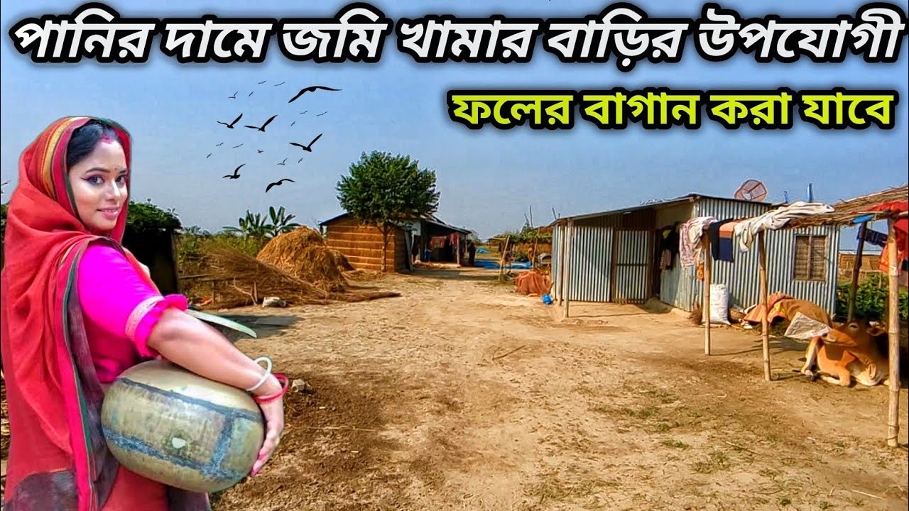 ১ হাজার টাকা শতাংশ জমি কিনতে ও ভাড়া নিতে পারবেন | বাগান বাড়ি খামার ও চাষাবাদের উপযোগী | Grammo Jibon