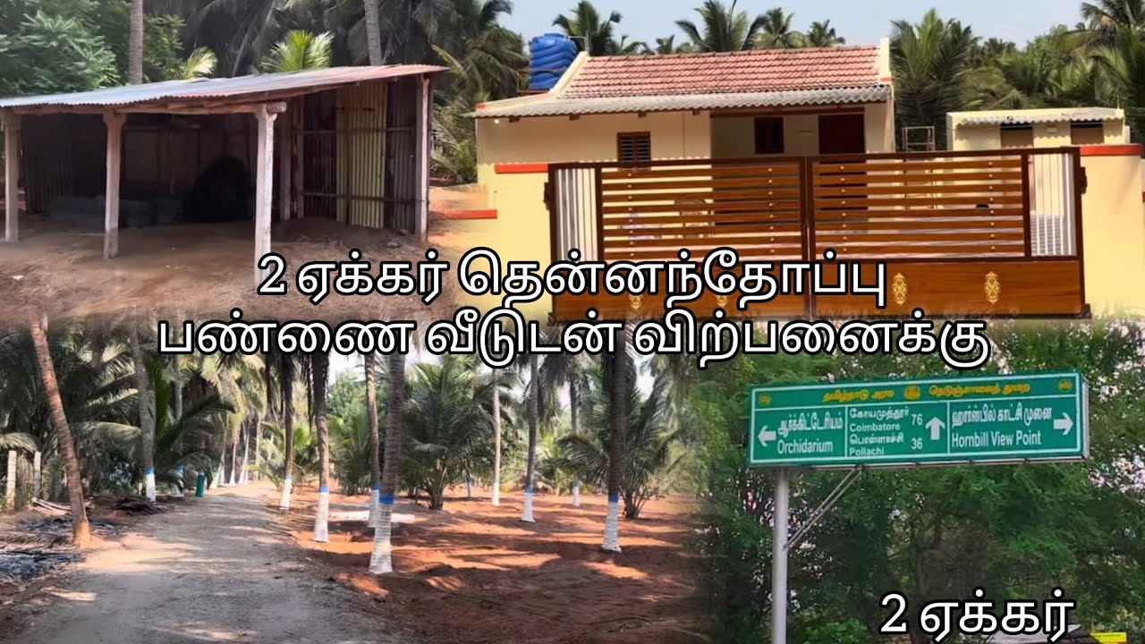 2 ஏக்கர் தென்னந்தோப்பு 🌴 பண்ணை வீடுடன்  விற்பனைக்கு 🤩| contact no : 7502636683