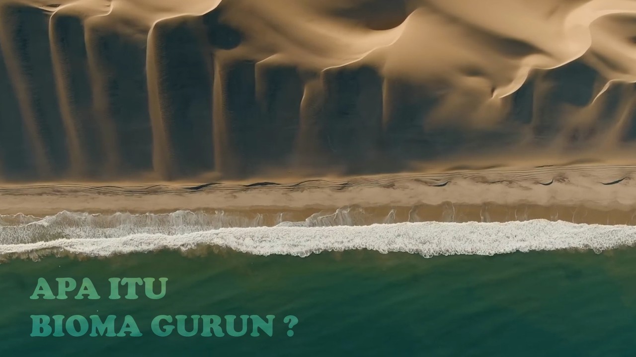 Bioma Gurun: Bagaimana Kehidupan Bertahan di Tempat Tanpa Air?
