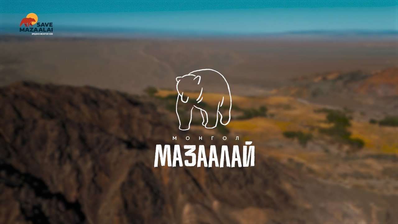 МОНГОЛ МАЗААЛАЙ НЭВТРҮҮЛЭГ
