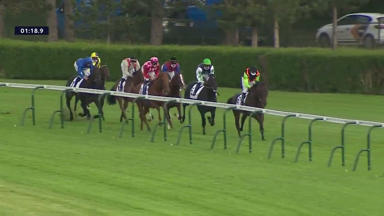 In Swoop - Prix d'Hedouville (Gr.3)