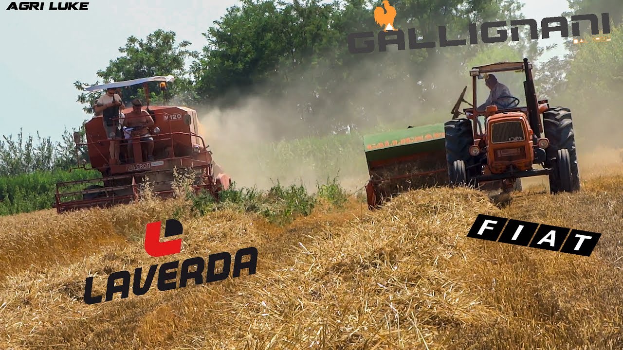 Laverda M120 | Gallignani 7100 | OM615 |Old Threshing and Baling | Trebbiatura e Pressatura D'Epoca