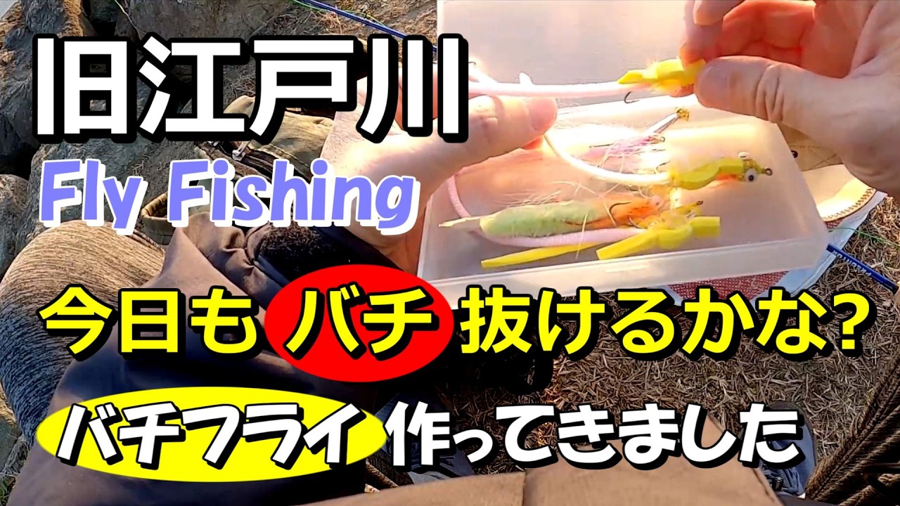 【今日もバチ抜ける？】旧江戸川でフライフィッシング【フライ作ってきました】