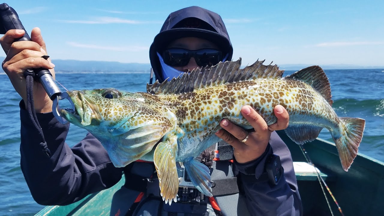 THIS Bait Saved the Day ... Redemption! Santa Cruz Skiffs