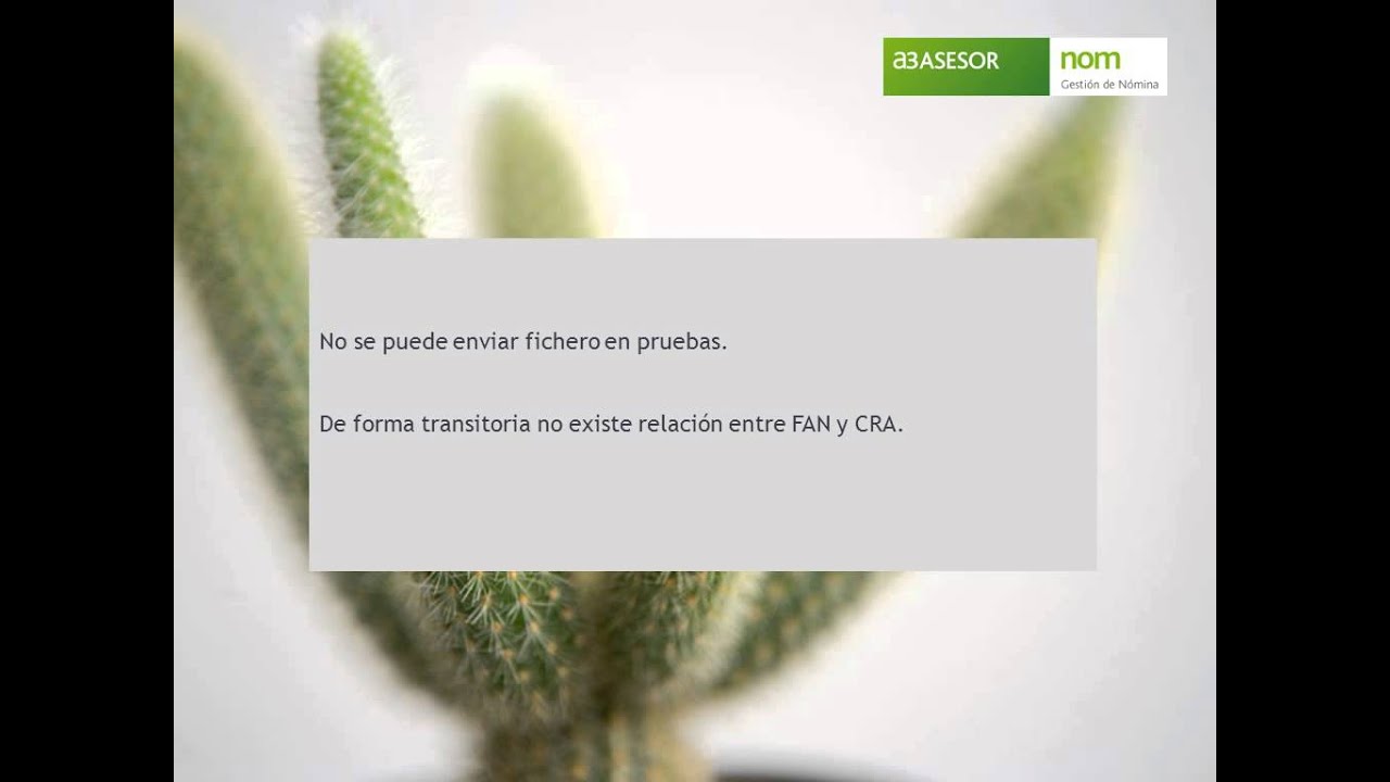 Servisoft-Video explicativo fichero CRA
