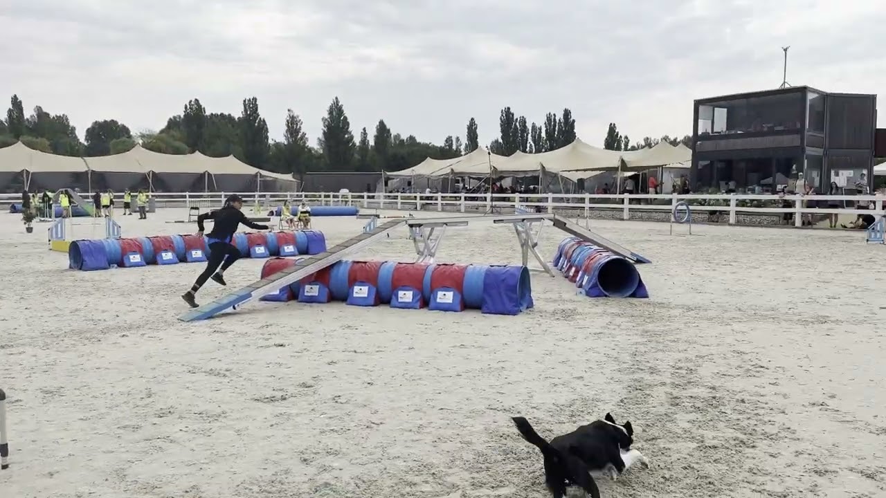 Prague Agility Party 8/2025 Lucie Glejdurová - Beat, Dobby
