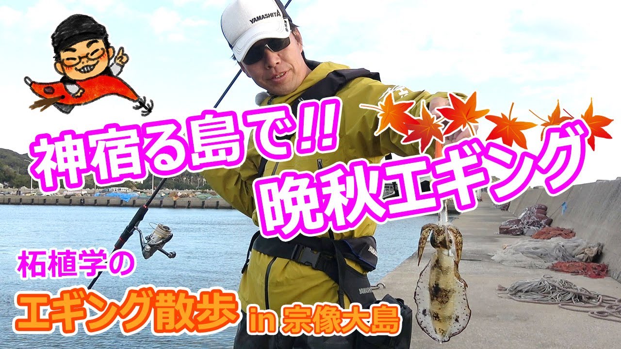 柘植学のエギング散歩 in宗像大島 晩秋エギング攻略