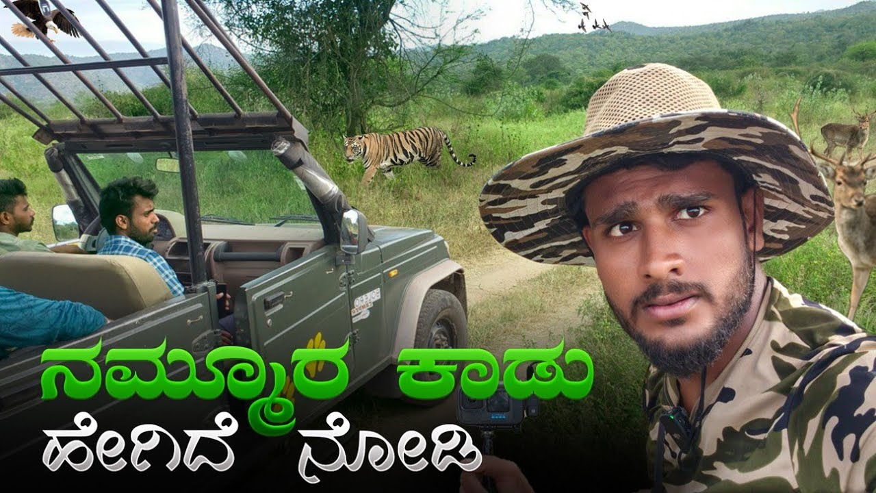 ನಮ್ಮೂರ್ ಕಾಡು🐅🐘| MM Hill's Wildlife Safari | Near Bandipur | Avatar Shiva Official