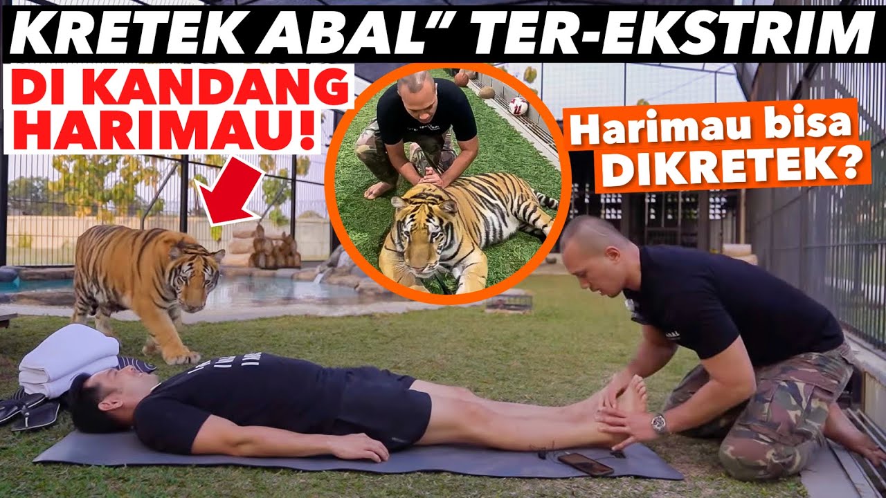 KRETEK ABAL2 HARIMAU DAN PEMILIK! GOKIL..