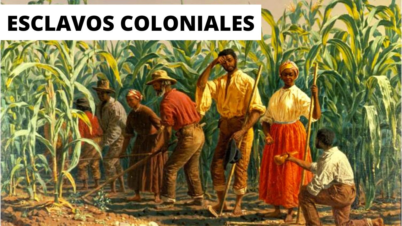 ¿COMO ERA la VIDA de un ESCLAVO  en la ÉPOCA COLONIAL?