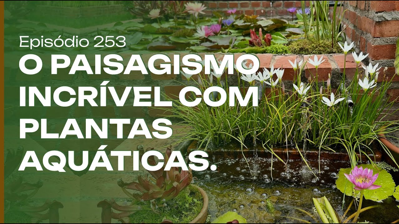 Ландшафтный дизайн и вода: талант Ули и искусство Belas Águas.
