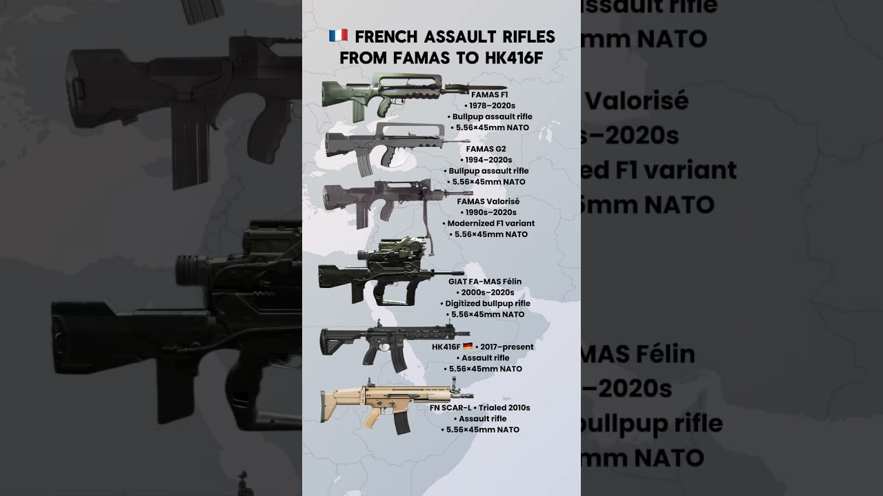 French Assault Rifles: From FAMAS to HK416