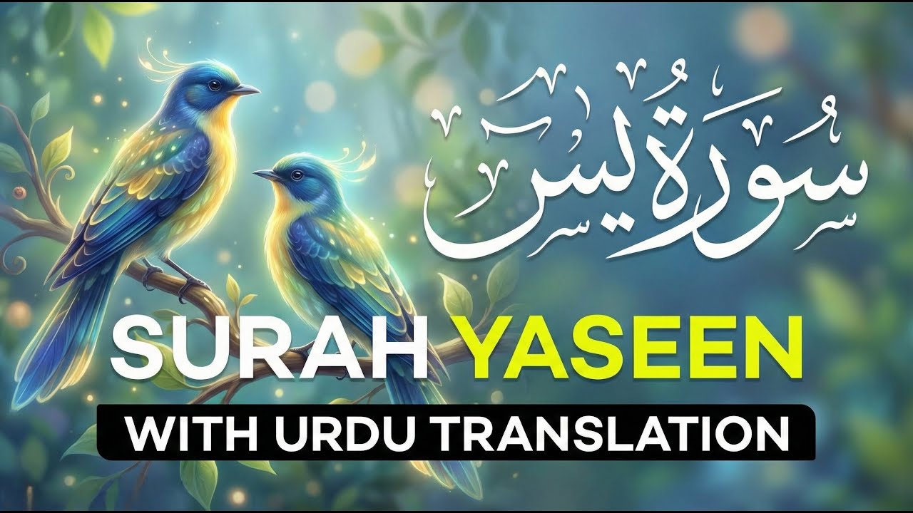 Surah Yaseen With Urdu Translation By Qari Ismail Nuri I Urdu And Hindi Tarjuma | 01