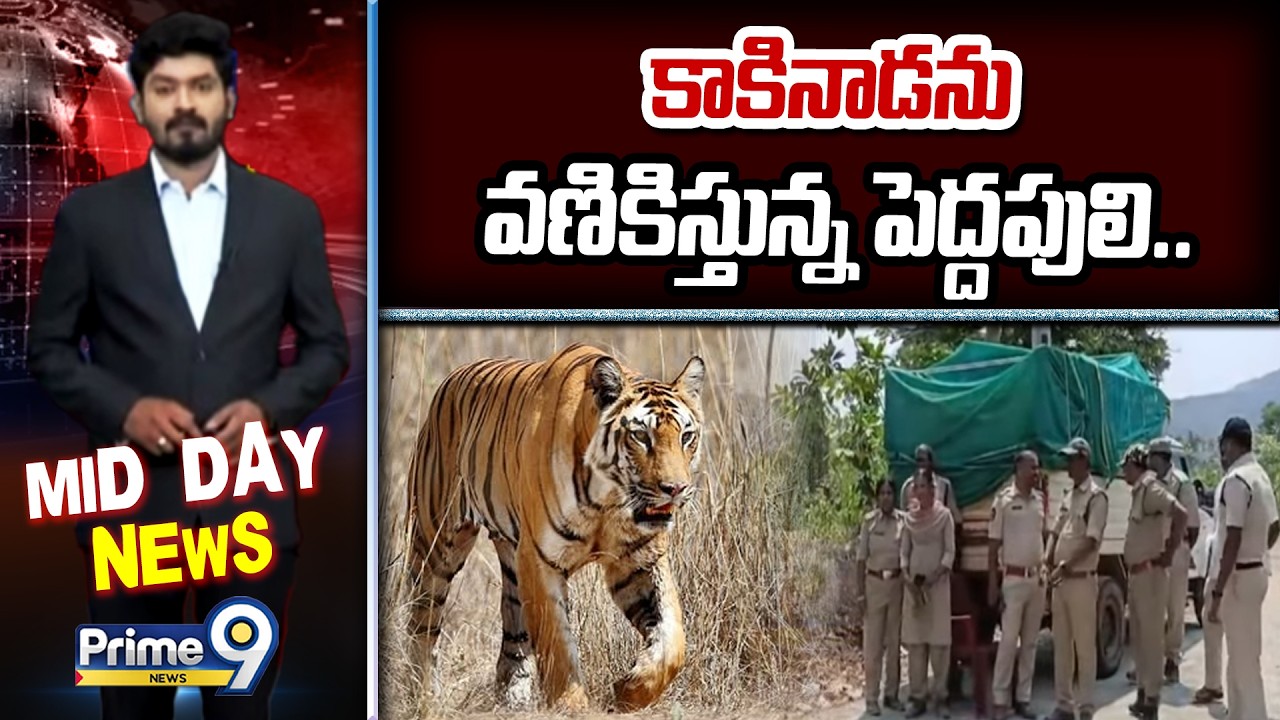 కాకినాడను వణికిస్తున్న పెద్దపులి.. | Tiger Hulchal In Kakinada | Prime9 News