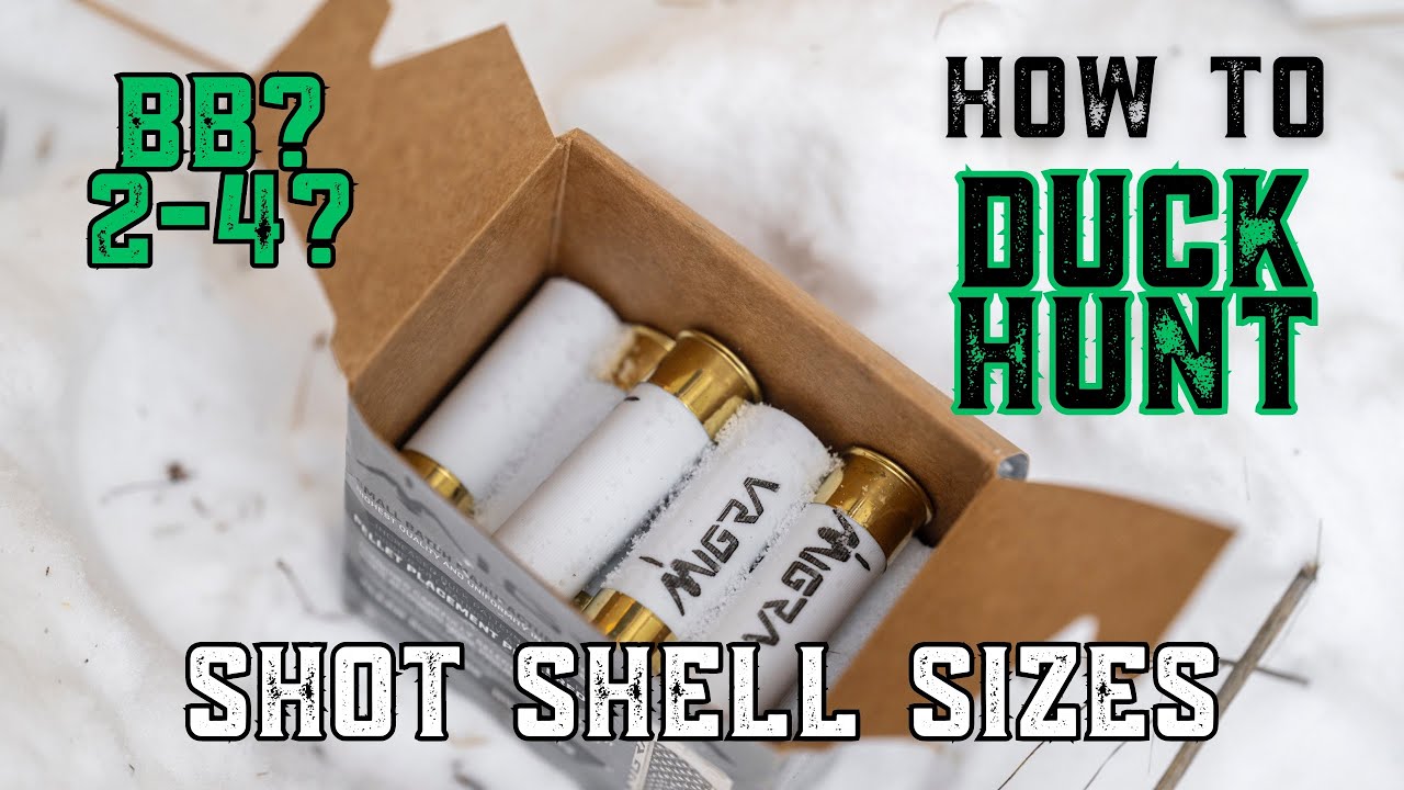 Shot Shell Sizes (For Waterfowl Hunting)