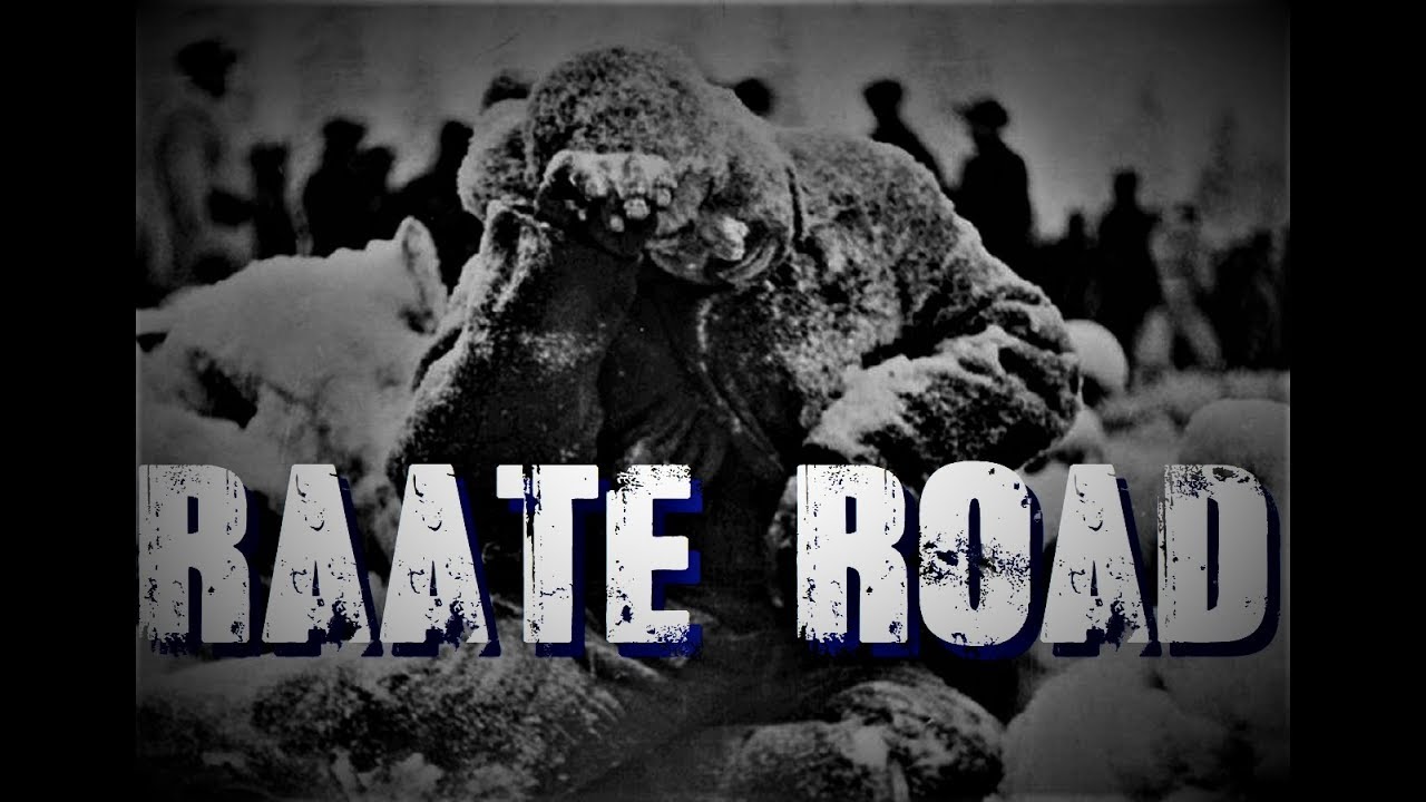 The Battle of Raate Road