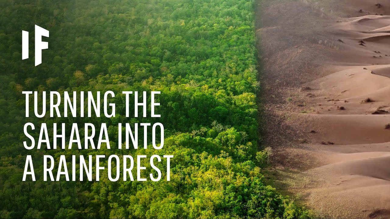 What If We Terraformed the Sahara Desert?