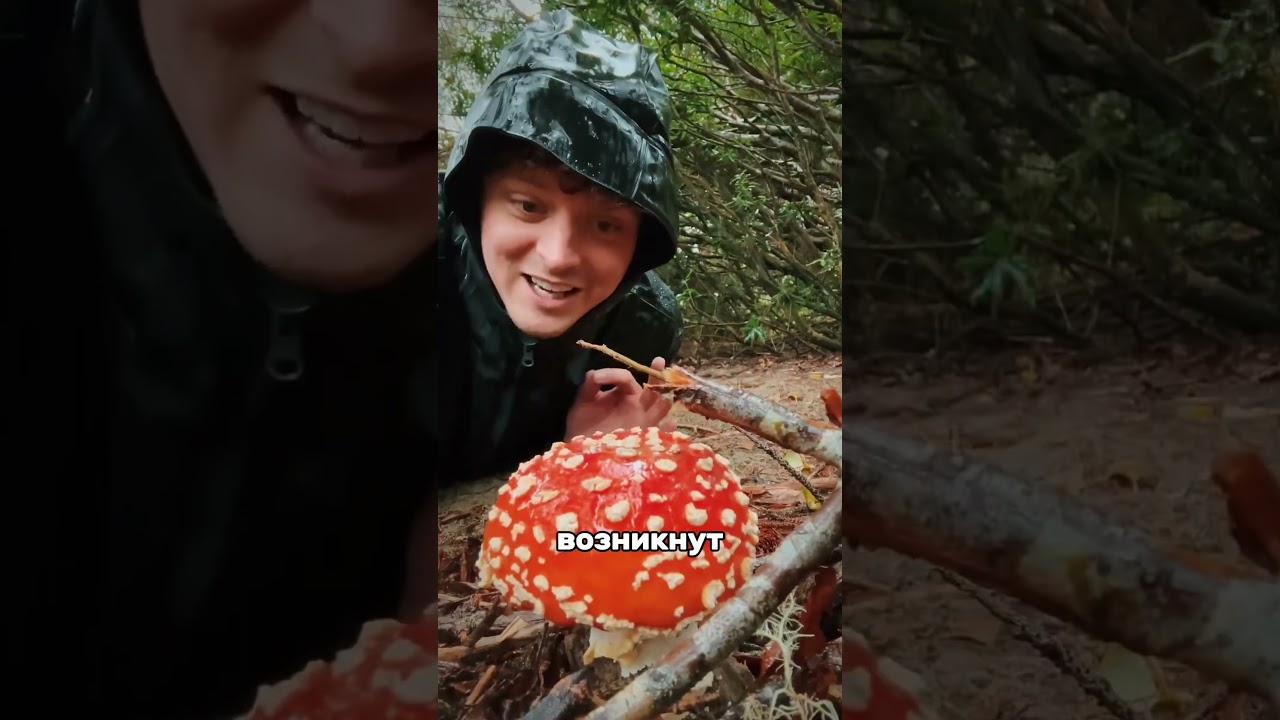 🍄 ЧТО БУДЕТ, ЕСЛИ СЪЕСТЬ МУХОМОР 🤯 #наука #биология #интересно