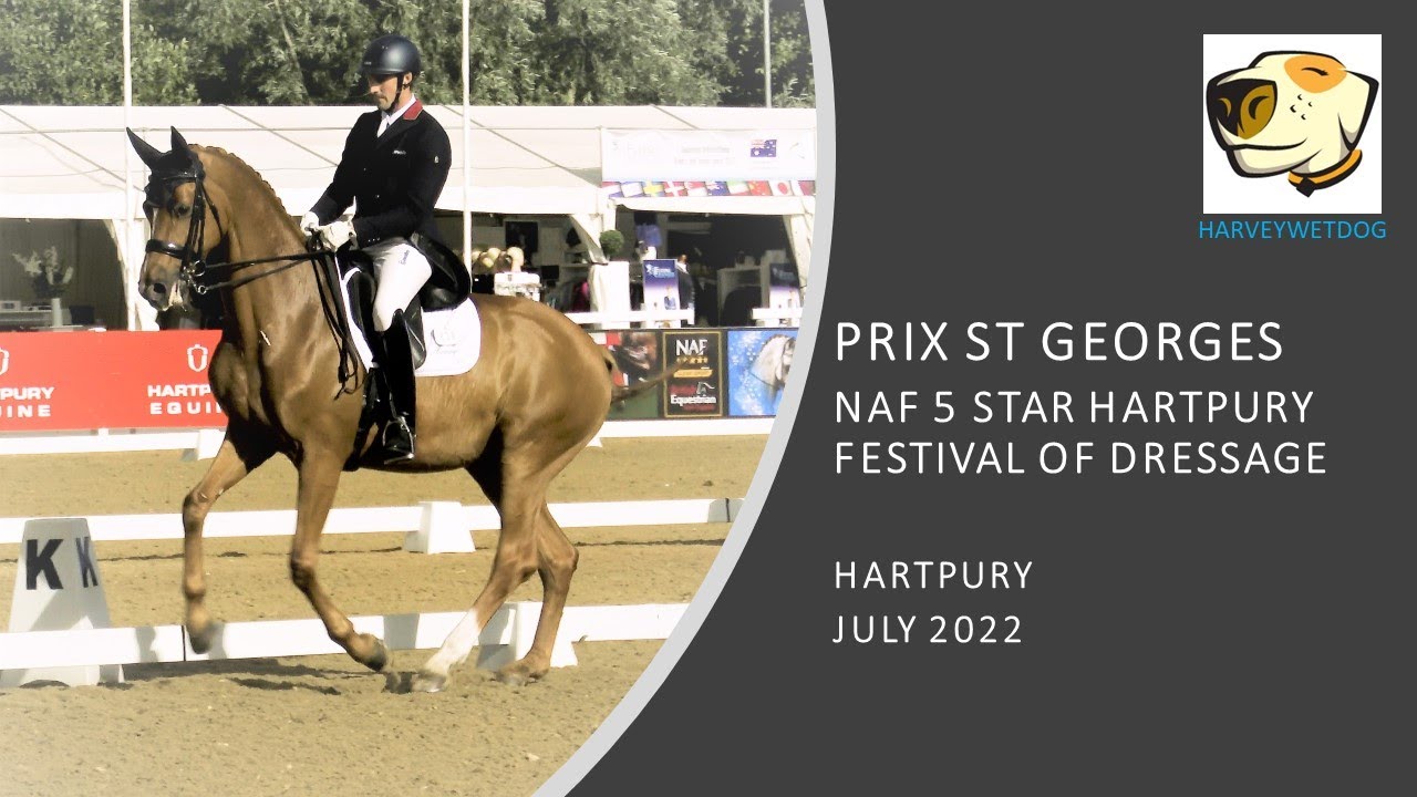 Michael Eilberg + MSJ Distinction PSG: PREMIER LEAGUE DRESSAGE TEST HARTPURY 2022