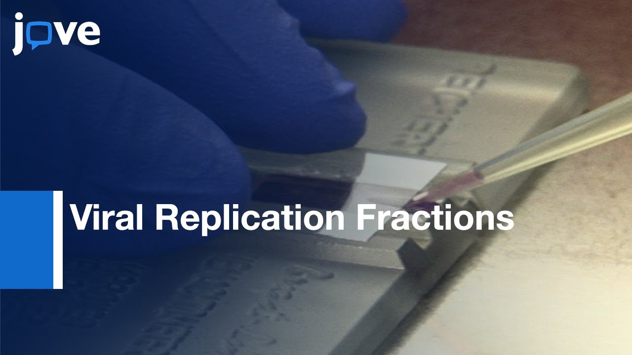 Viral Replication Fractions Isolation from infected Human Cells | Protocol Preview