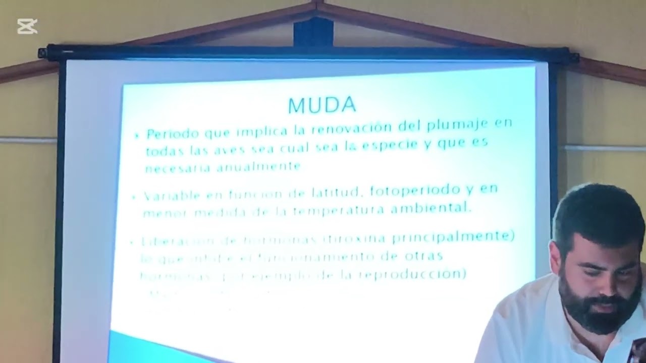 La muda   con el veterinario Álvaro ayuela organizado por asc.ornitologica de  Fuenlabrada