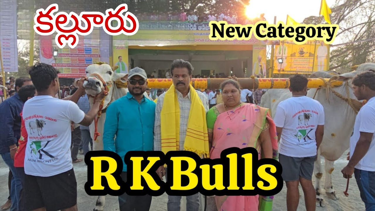 కల్లూరు న్యూ క్యాటగిరి విభాగం విభాగంలో 7 RK bulls 