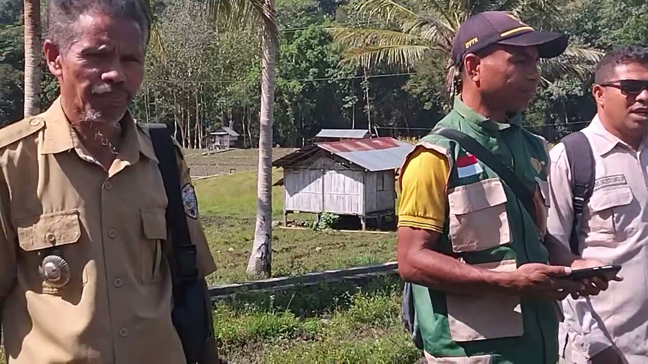 Areal persawahan Desa Tendaondo kec.Nangapanda Kabupaten Ende -NTT