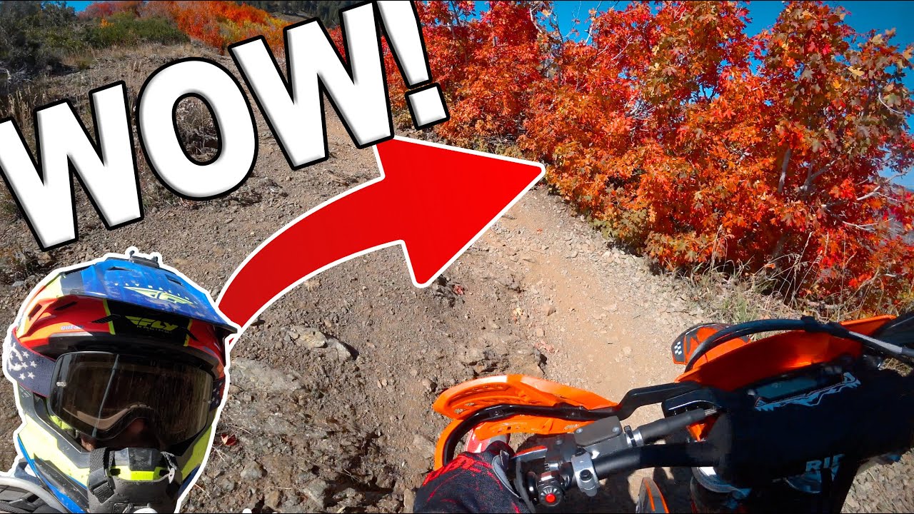 Unbelievable! | KTM 300 XC-W