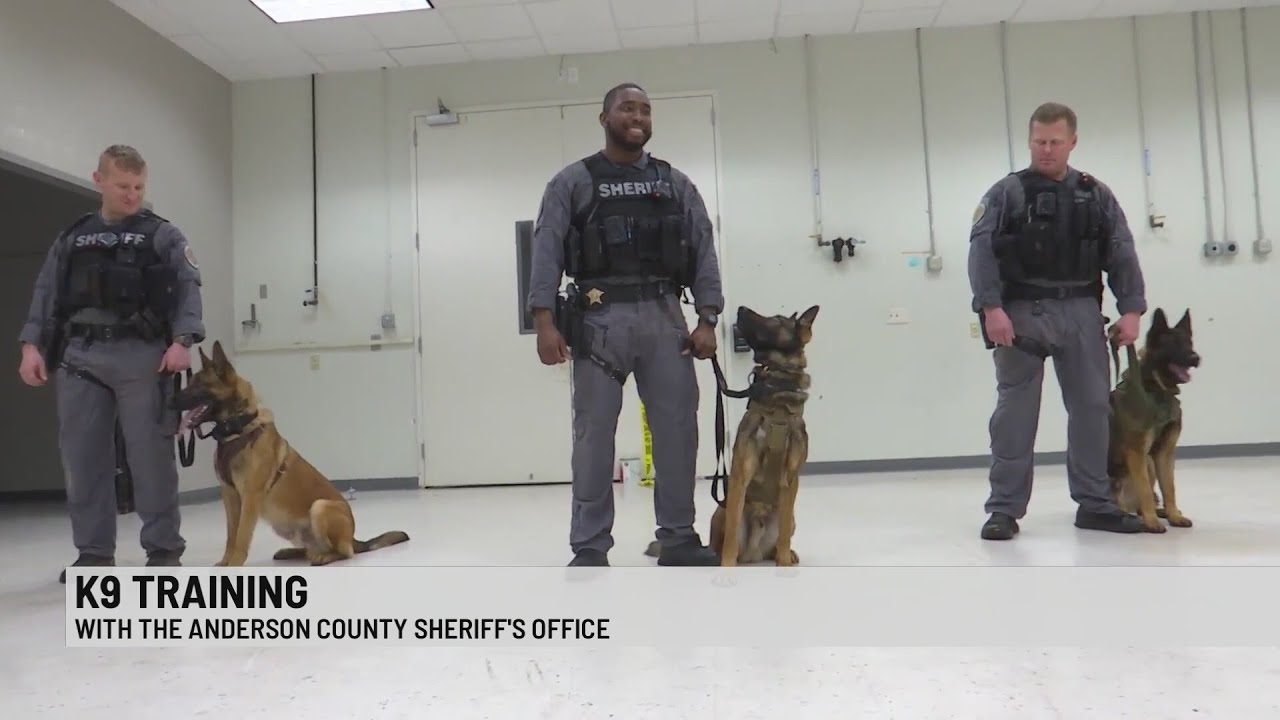 Anderson Co. newest K9s and training