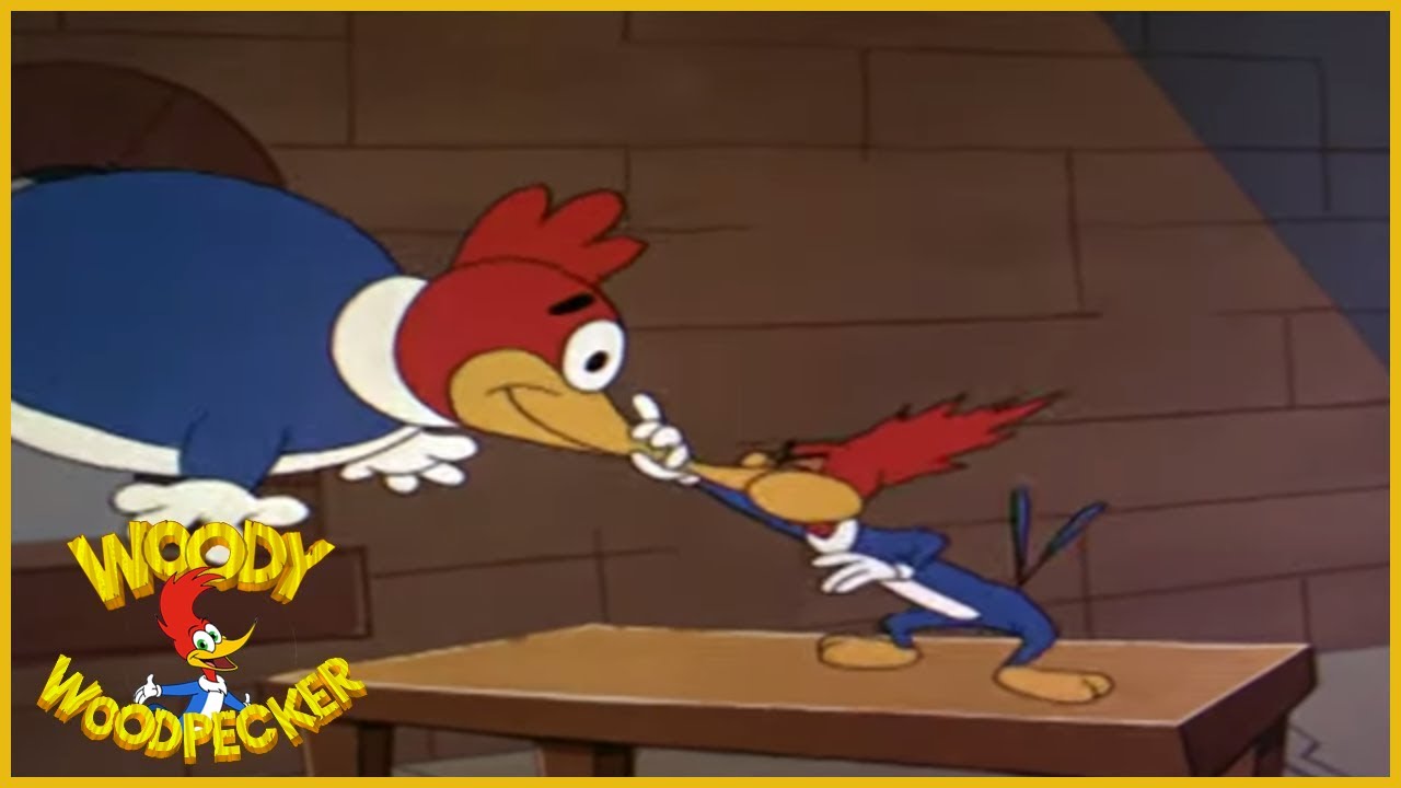 Woody Woodpecker | Fowled Up Falcon | Full Episodes