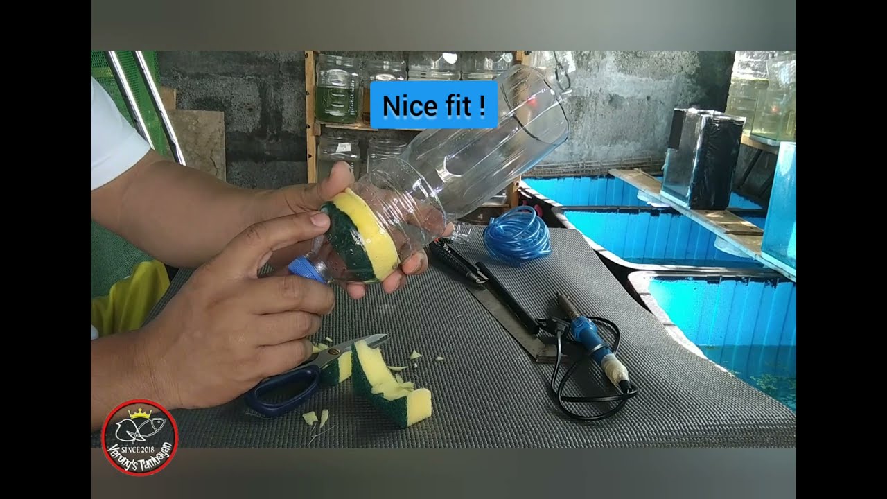 DIY Fish Poop Collector EXPERIMENT TIME @ VERONG'S TAMBAYAN