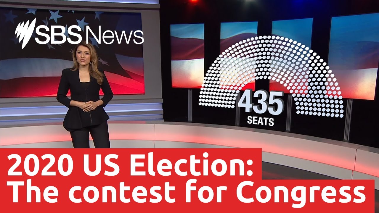 US Election 2020: The contest for Congress I SBS News