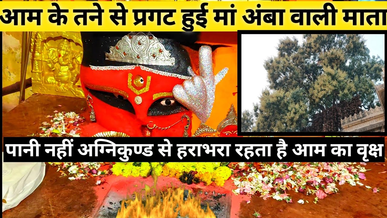 Maa Ambawali Mata Temple / आम के तने से प्रगट हुई माँ अम्बे/ Rajendra Nagar Mata Mandir