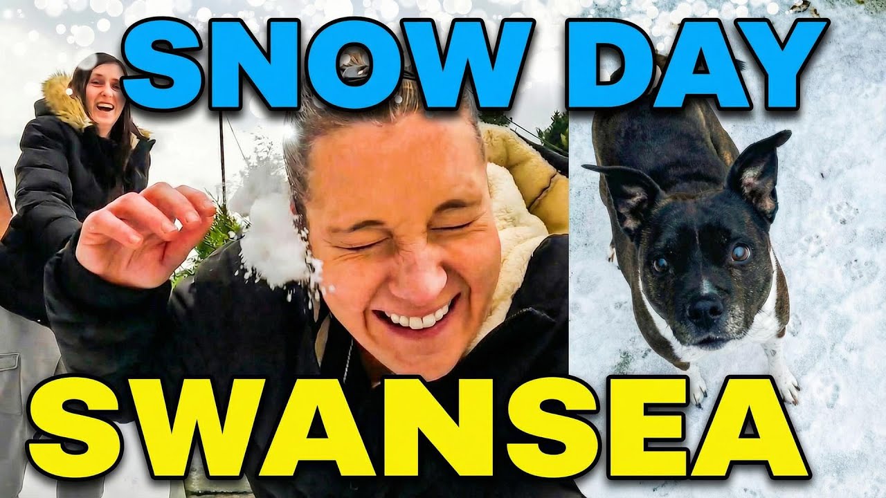 WALES SNOW DAY! ❄️ Dog's First Snow 🌨️🇬🇧