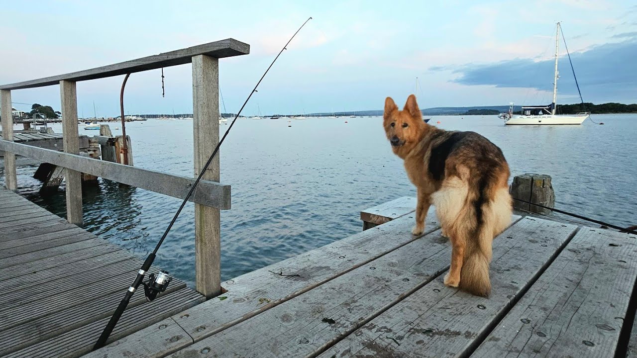 Catching fish on the £7 99 Aldi Rod and Reel