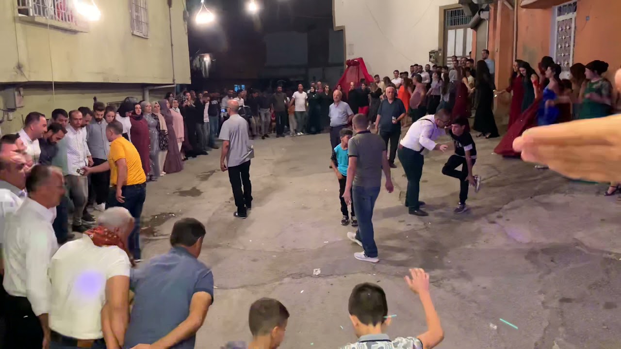 Haci kiraz Dan Potpori parçalar 2021