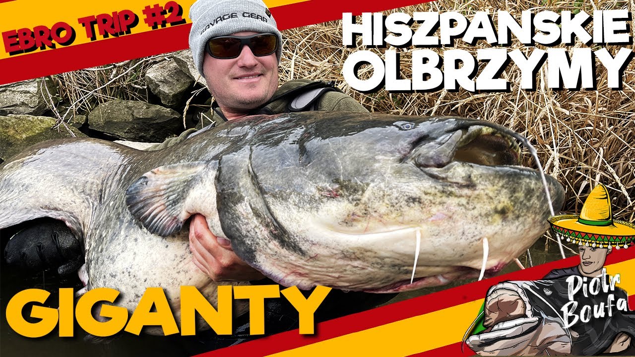 CHUDE BYKI z Ebro / Sumy w Hiszpanii na VERTICAL - Szukamy rekordu świata SUMA - WYPRAWA NA EBRO #2