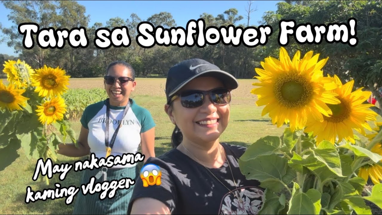 Picking Sunflowers! Tara sa farm 🌻🐝