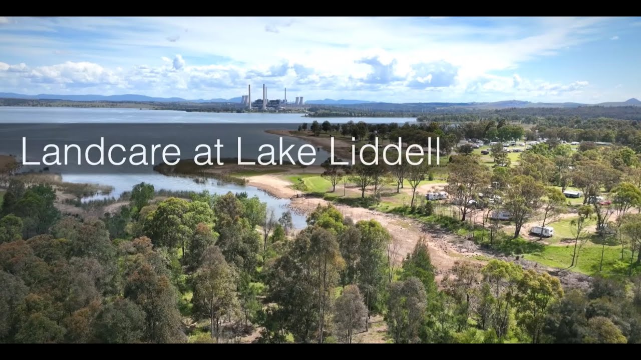 Landcare at Lake Liddell