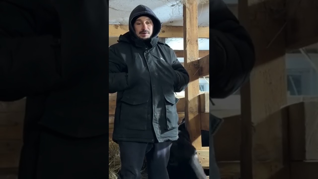 Мысли в слух #viral #humor