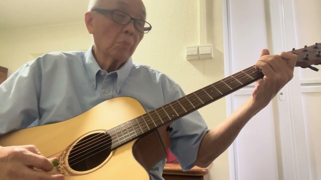Subaru - Shinji Tanimura instrumental cover Alex Yuen 29 Jan 2026