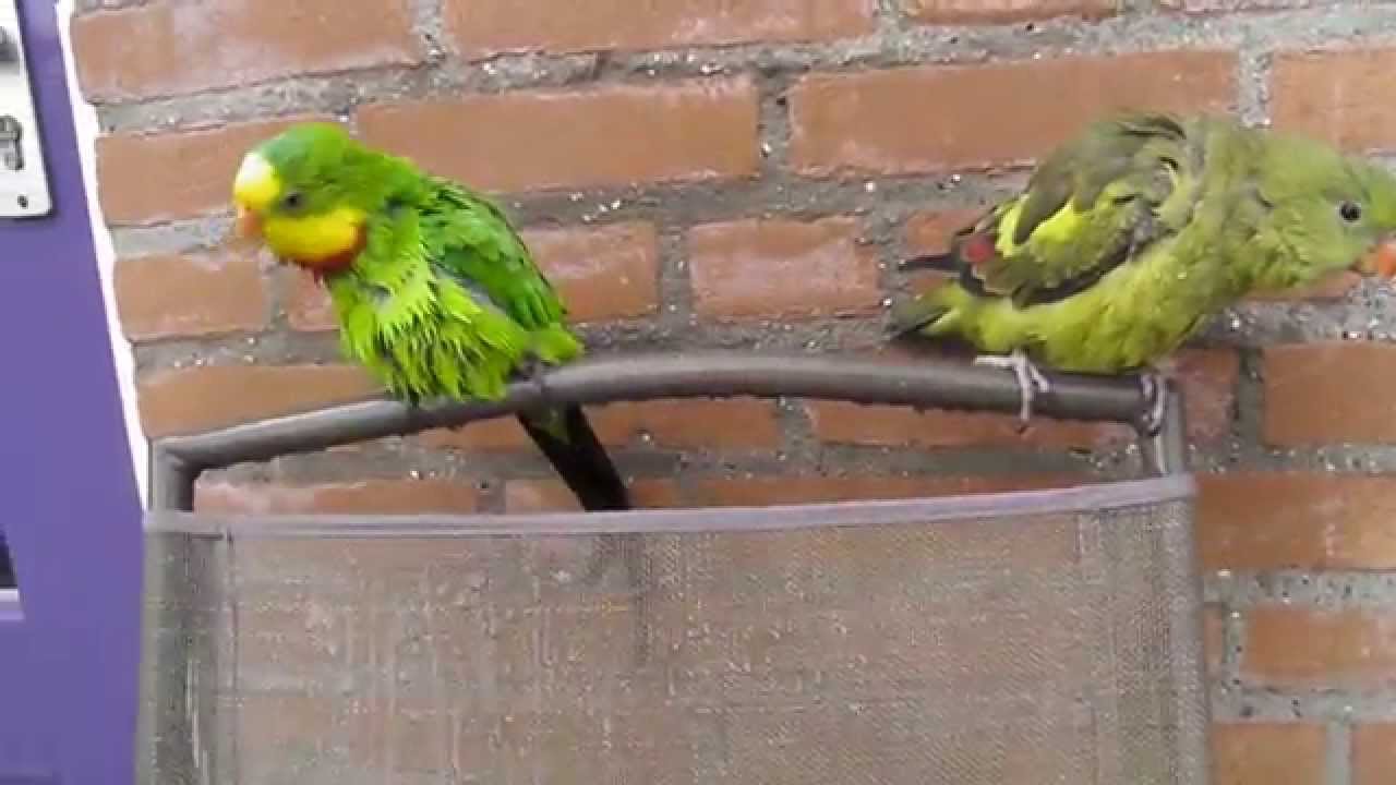 Lekker buiten douchen