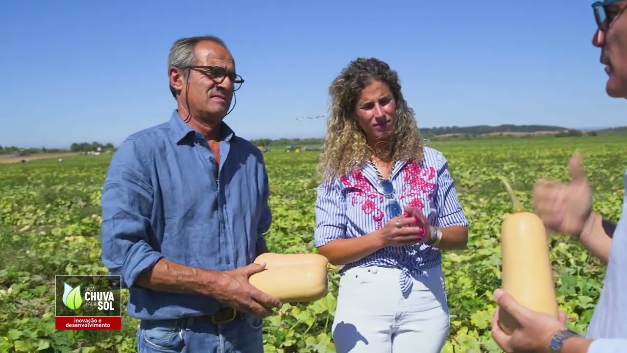 Reportagem Faça Chuva Faça Sol sobre a produção de abóbora manteiga