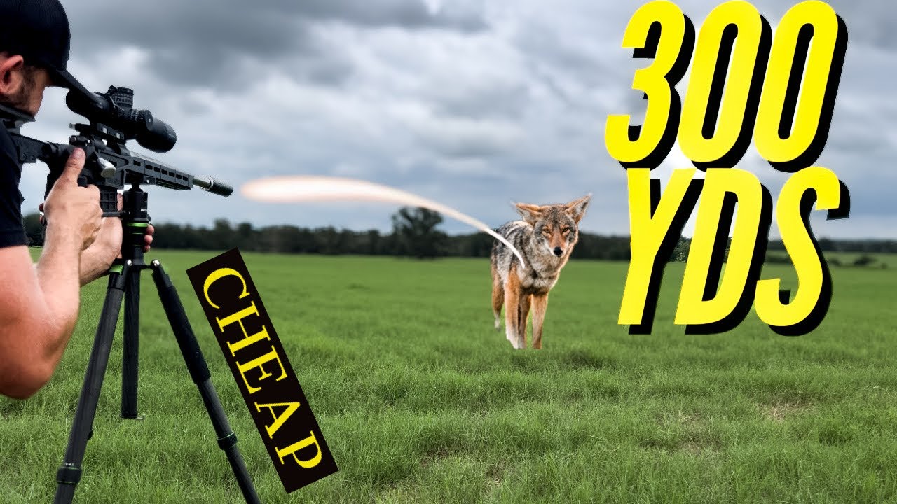 BEST Budget Tripod on the Market (Coyotes, Hogs, Photography)