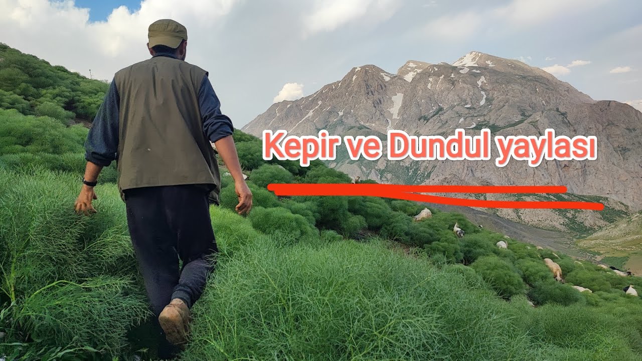 Dersim/Kepir-Dundul yaylaları
