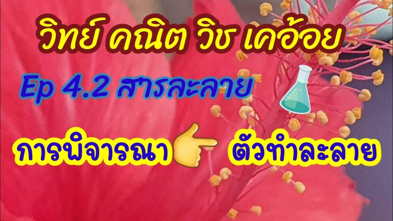 ep 4.2 สารละลาย การพิจารณาตัวทำละลาย#วิทย์ คณิต วิช เคอ้อย