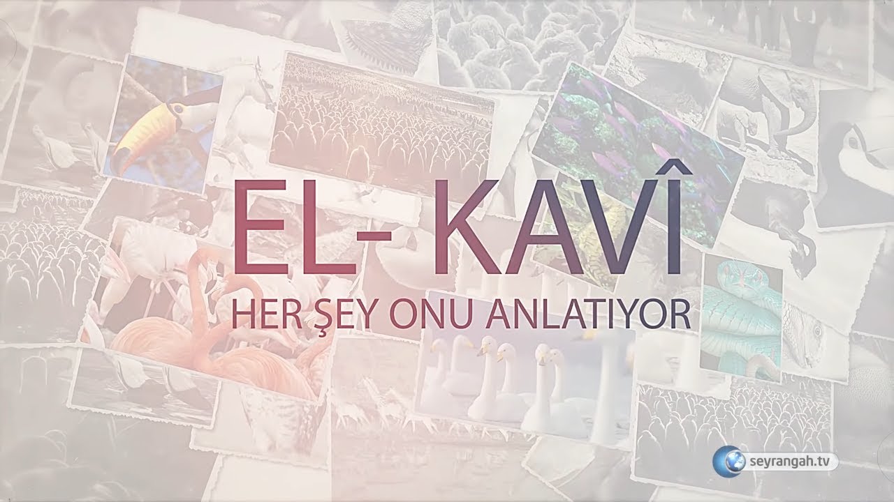 Allah'ın İsimleri - 54: El-Kavî
