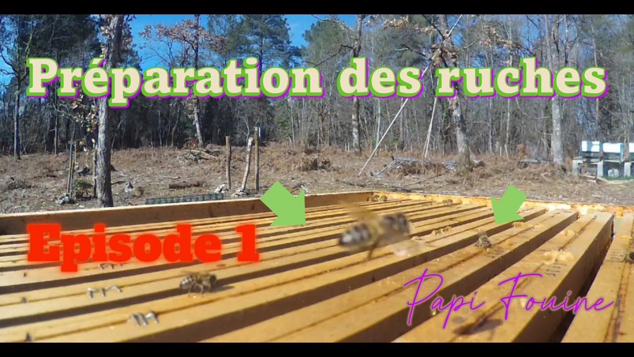 Préparation des ruches pour la saison. Etape 1► Le léchage des cadres. #apiculture