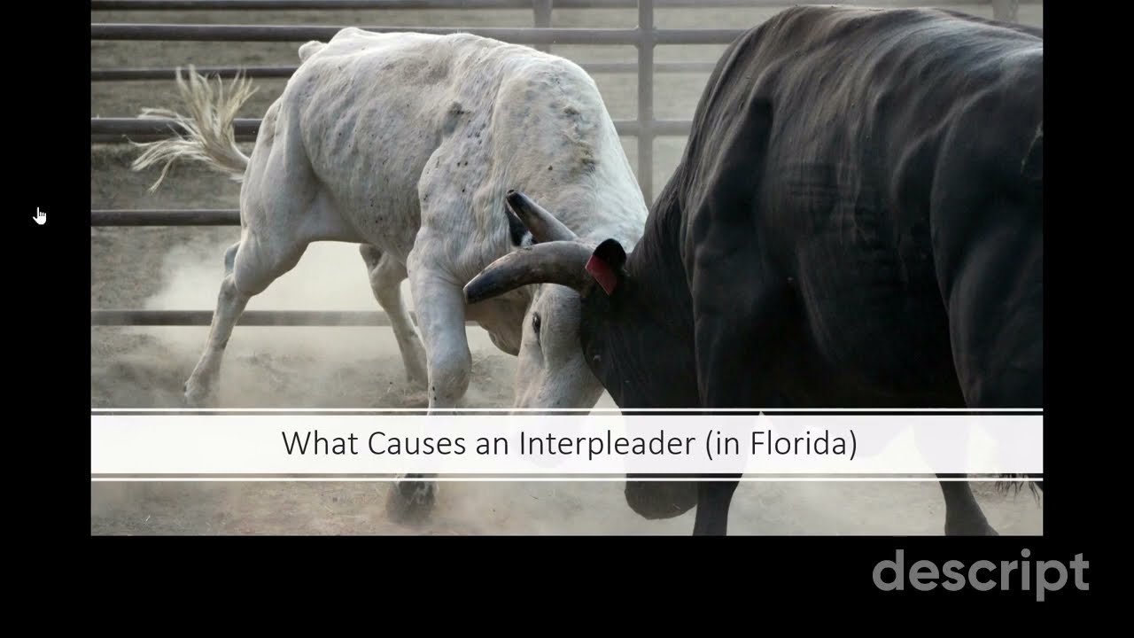 What Causes an Interpleader in Florida